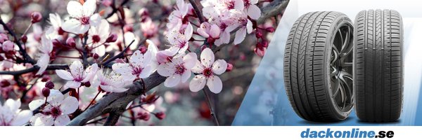 dackonline hero banner